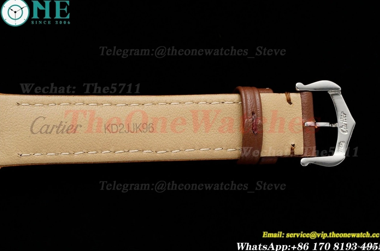 LE AF Dumont RG Silver Dial Brown Santos Quartz 1203